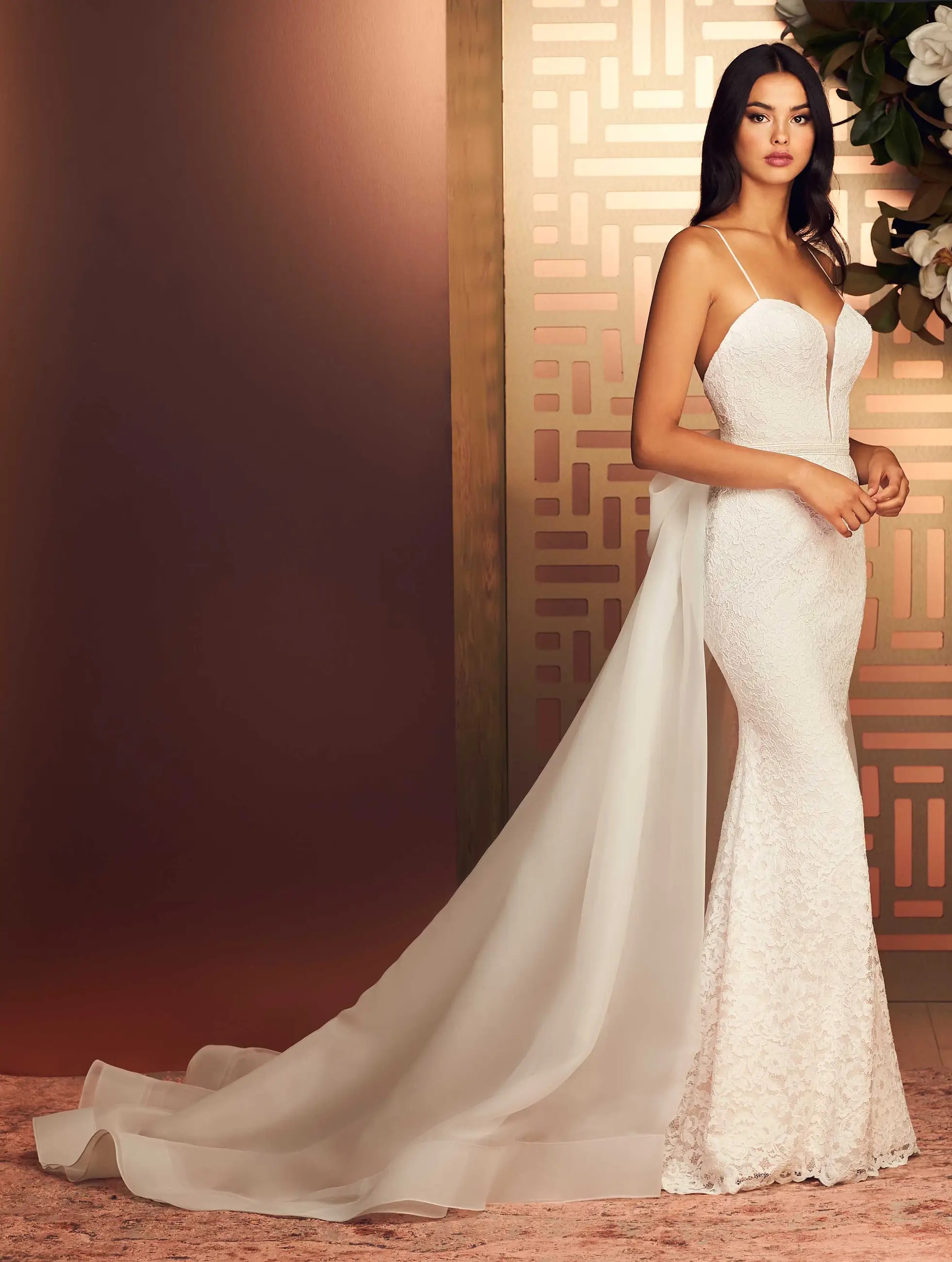 Paloma Blanca